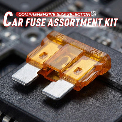 300Pcs Car Fuse Assortment Kit