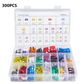 300Pcs Car Fuse Assortment Kit
