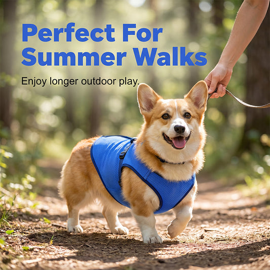Cooling Dog Vest