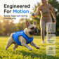 Cooling Dog Vest