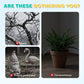 12 PCS Artificial Feathered Birds with Clips
