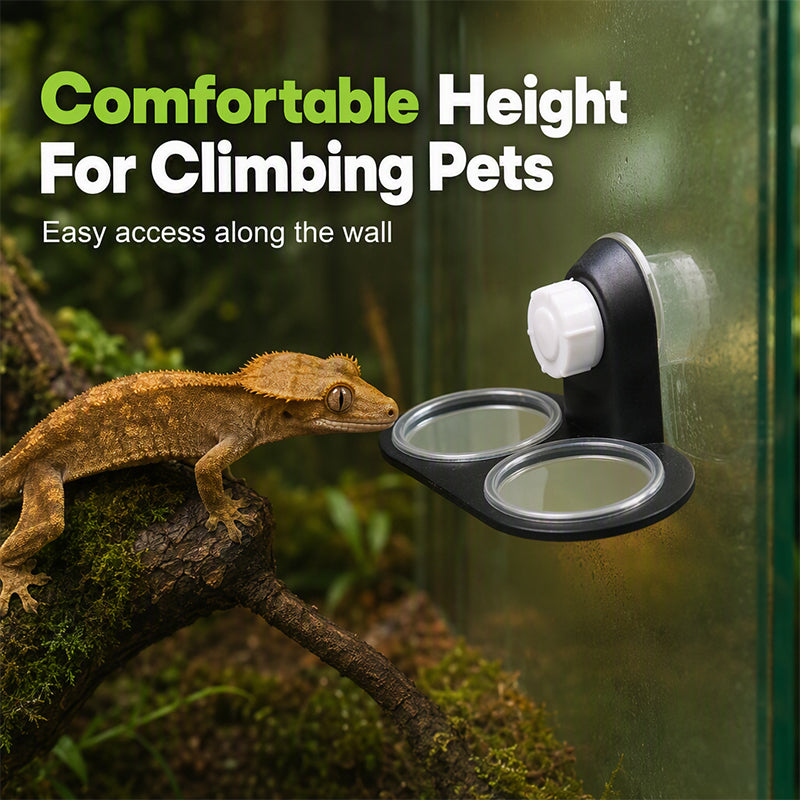 Double Reptile Feeding Ledge with Bowls