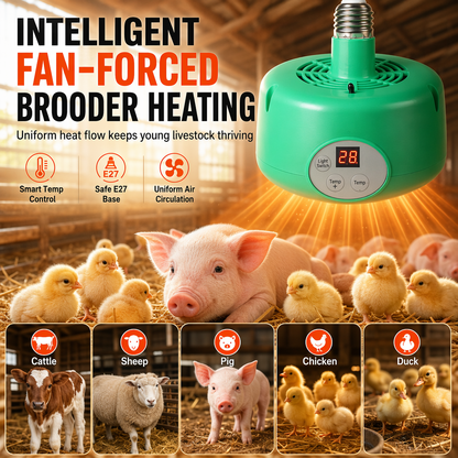 📢📢50%  OFF !! ⏰Pet Heat Lamp with Temperature Control