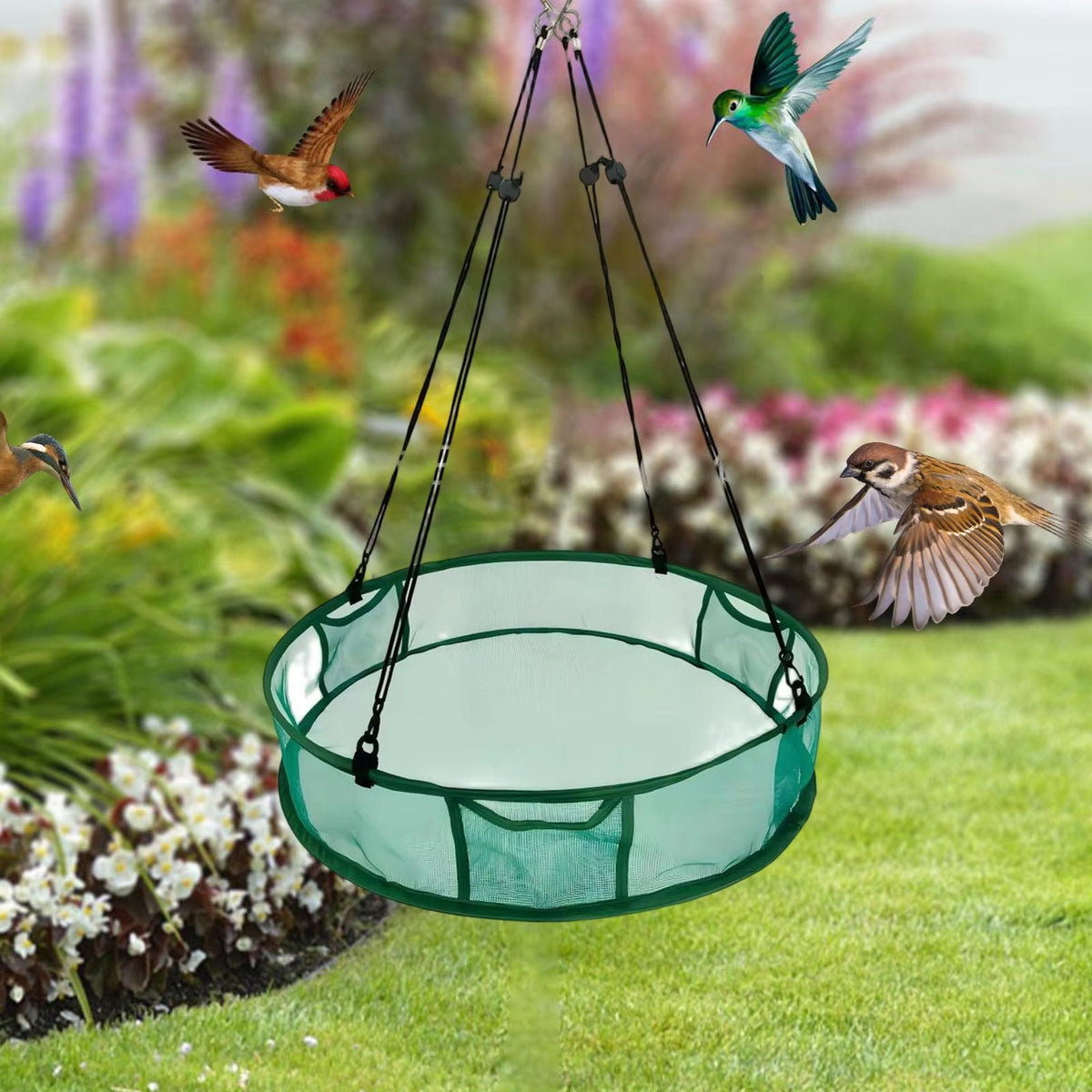 Squirrel Proof Hummingbird Feeder Spill Proof Tray